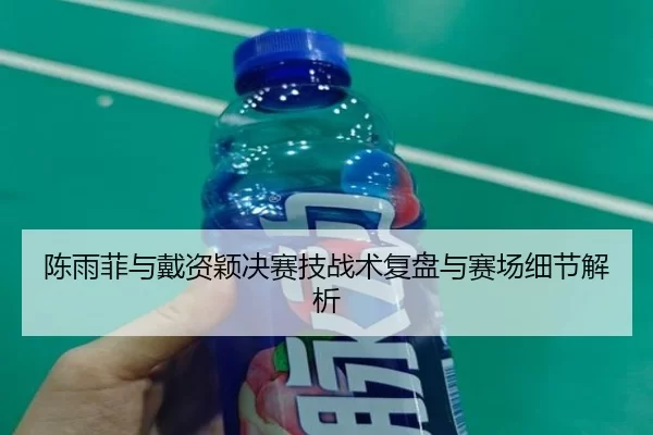 陈雨菲与戴资颖决赛技战术复盘与赛场细节解析